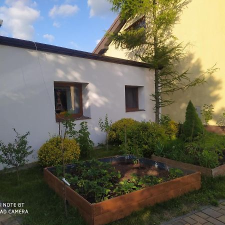 Apartament Mnichowo Gniezno Zewnętrze zdjęcie