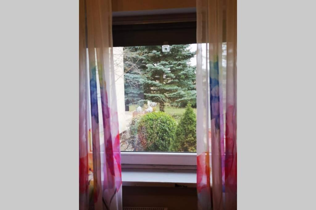 Apartament Mnichowo Gniezno Zewnętrze zdjęcie